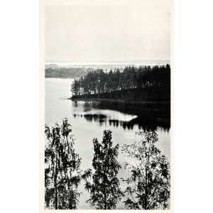  1903 Print Punkaharju Ridge Finland Landscape Pine 
