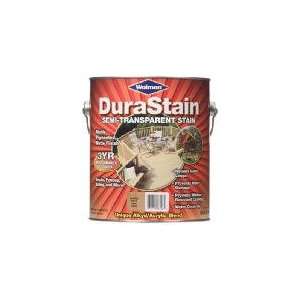   & Co Gal Woodland Brn Stain (Pack Of 4) 18156 Exterior Stain Latex