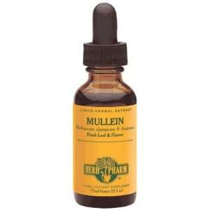  Mullein Extract