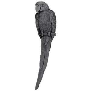  McCaw Parrot Cabinet Pull, Brilliant Pewter, Facing Right 