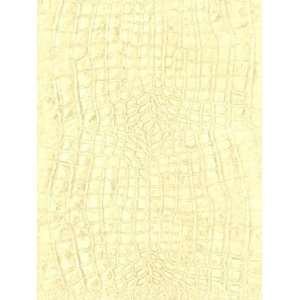  Wallpaper Seabrook Wallcovering Lucia tN60907