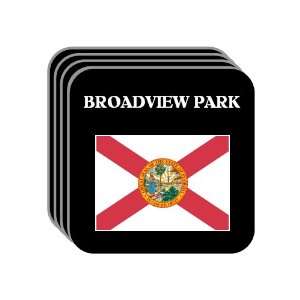  US State Flag   BROADVIEW PARK, Florida (FL) Set of 4 Mini 