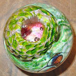 Sutherland Medium Round Undersea Reef Glass Paperweight  