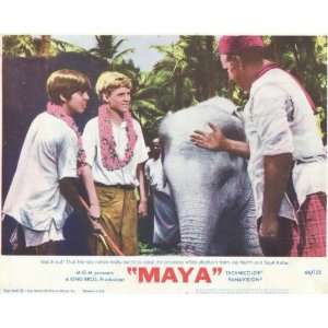  Maya Movie Poster (11 x 14 Inches   28cm x 36cm) (1966 