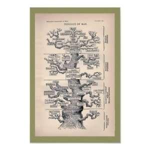 Tree Of Life / Pedigree Of Man Print 