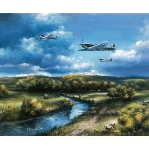    Spitfires Of The Royal Air Force Wall Mural