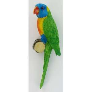    Green Parrot Wall Hanging Art Decoration Bathroom: Home & Kitchen