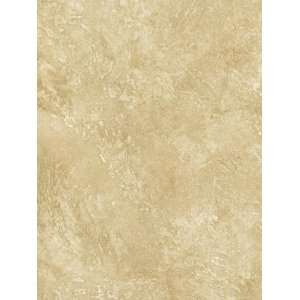  Wallpaper York Color Expression PX8970: Home Improvement