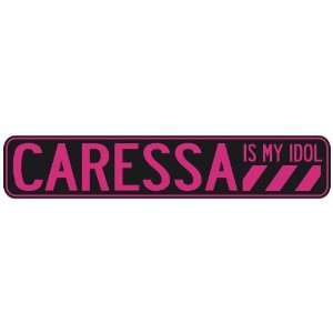   CARESSA IS MY IDOL  STREET SIGN: Home Improvement