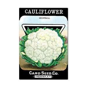  Cauliflower Seed Packet Artwork Fridge Magnet Everything 