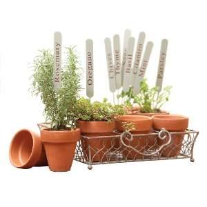 CBK Ltd Iron Herb Caddy Style Plant Holders with ID stakes 