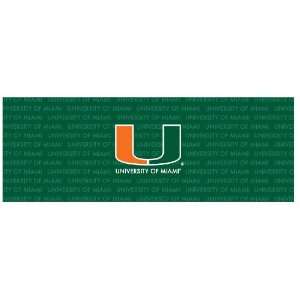   Hurricanes Team Auto Rear Window Decal:  Sports & Outdoors