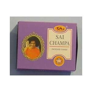  SAI Champa   Box of 10 SAI Cones: Home Improvement