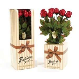 SCHEDULE YOUR DELIVERY DAY Long Stem Chocolate Red Roses Bouquet Gift 