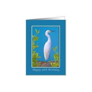  Birthday, 98th, Snowy Egret Bird Card Toys & Games