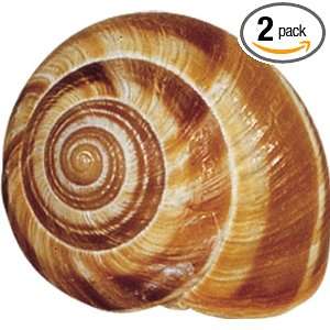 Roland Snail Shells, Very Large, 48 Count Tubes (Pack of 2)