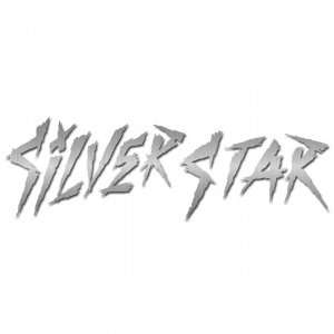  Silver Star Slasher Decal   Chrome: Everything Else