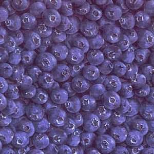   with Blueberries Quilting Fabric by RJR Fabrics: Arts, Crafts & Sewing