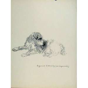  Sketch Etching Drawing Print C1938 Old Art Dog Hound: Home 