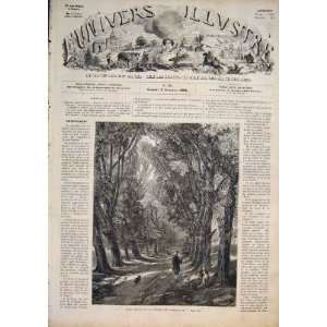  Compiegne Forest Woods Picnic Dog Franceprint 1858