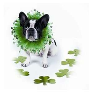  Charming Party Collar Shamrock X Small