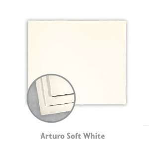  Arturo Soft White Plain Card   100/Box