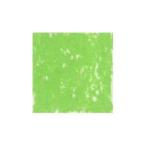  Holbein Oil Pastel Stick Permanent Green Shade 3: Arts 