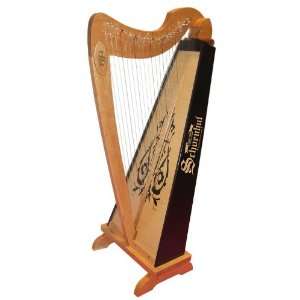  Schoenhut 22 String Harp Musical Instruments