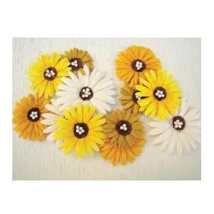  Daisy Dreams Flowers 12/Pkg   Lemon Arts, Crafts & Sewing