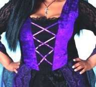 Costumes Sabrina Witch Costume Dress Purple Plus Sz  