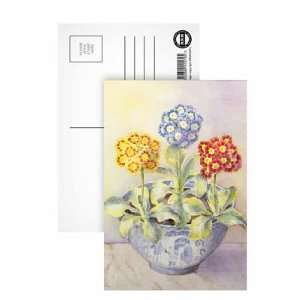  Auricula in a Chinese Pot by Karen Armitage   Postcard 