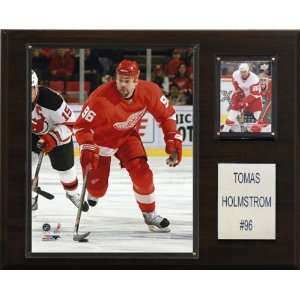   NHL Tomas Holmstrom Detroit Red Wings Player Plaque
