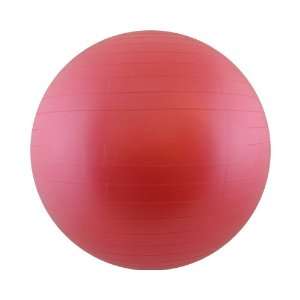  55CM Anti Burst Gym Excercise Workout Ball w/ Pump: Sports & Outdoors