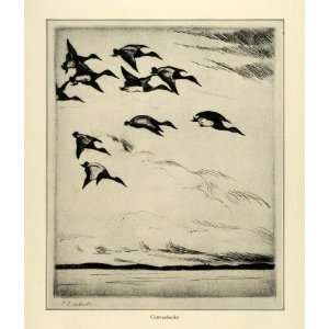   Ducks P. C. Wharton Art   Original Halftone Print