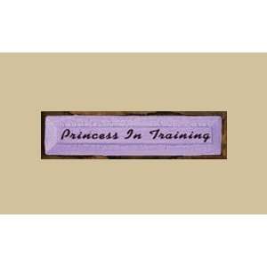 SaltBox Gifts SK519PIT Princess In Training Sign: Patio 