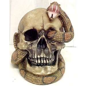  Creepy Human Skull & Rattlesnake Statue Rattler: Home 