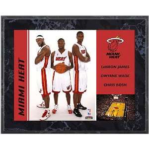  Mounted Memories Miami Heat Big 3 8x10 Player Plaque 