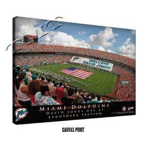  Miami Dolphins Personalized NFL Stadium Print Sports 