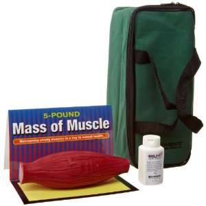 3B Scientific W43263M 5 Mass of Muscle, 5 Pounds, 8 1/2 Length x 4 3 