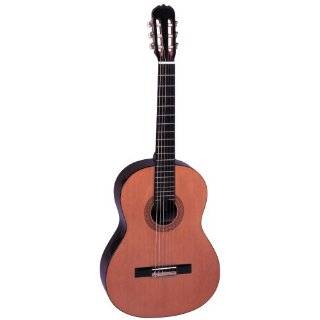   CL Full Size Classical Guitar with Deluxe Gig Bag: Musical Instruments