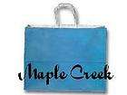 Large LAGOON BLUE Paper Gift Bags WHOLESALE Set of 10