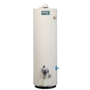  Reliance 30 Gal Mobile Home Gas Water Heater (4381927 