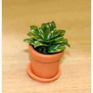  Miniature Green Leaf House Plant in a Clay Pot Toys 