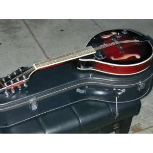  Berkeley Electric Acoustic Mandolin 2xgdae W/hard Case 