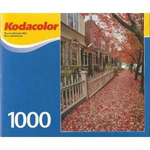   Kodacolor Autumn in Portland, OR 1000pc Jigsaw Puzzle Toys & Games