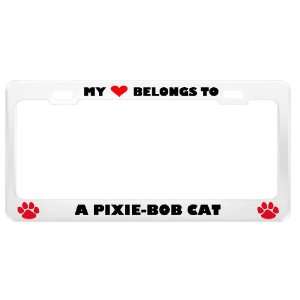  A Pixie Bob Cat Pet White Metal License Plate Frame Tag 