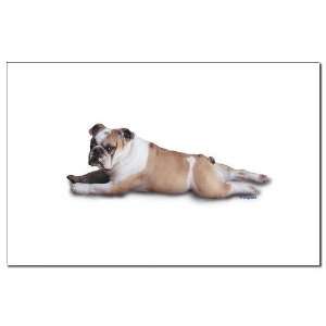  Lounging Bulldog Pets Mini Poster Print by  