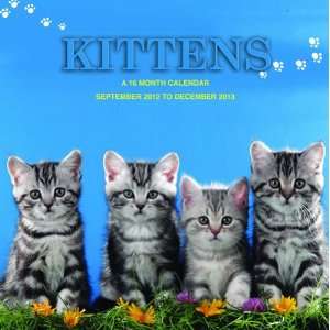  Kittens 2013 Wall Calendar