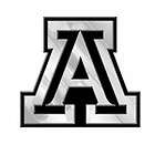 Arizona Wildcats Chrome Auto Emblem Decal Football University of