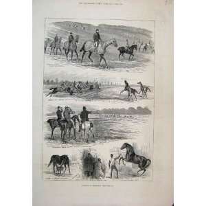  1882 Training Newmarket Horses Sire Dam Old Print